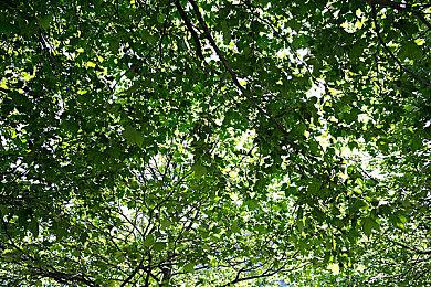 SIE这项专利可让游戏主播狂喜 可根据游玩生成迷你游戏