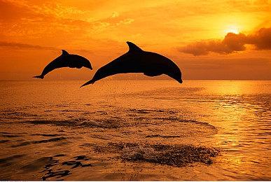 PSVR2将于2023年2月22日发售 549.99美元