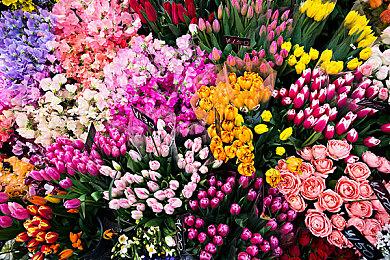 《欢迎来到帕拉迪泽》明年2月发售 和丧尸合作共建家园